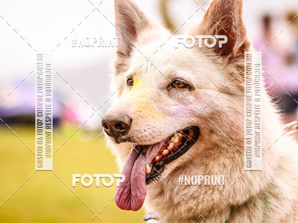 Buy your photos of the eventColor Race Brasil - Florianpolis on Fotop
