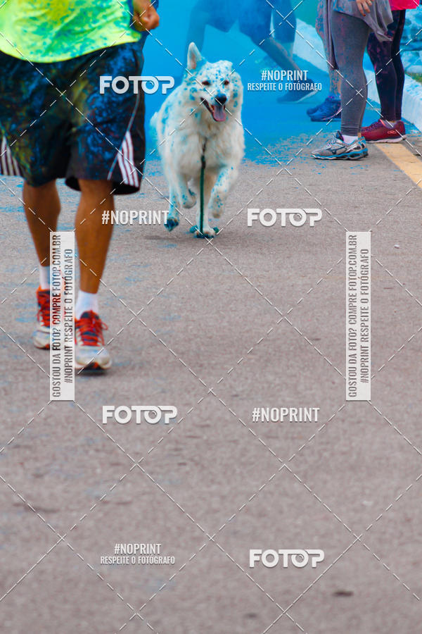 Buy your photos of the eventColor Race Brasil - Florian�polis on Fotop