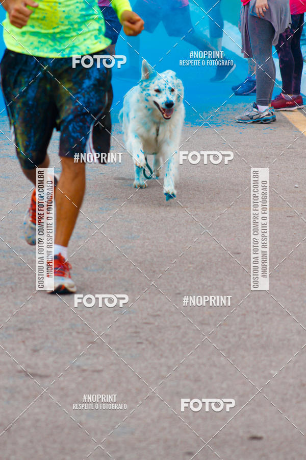 Buy your photos of the eventColor Race Brasil - Florian�polis on Fotop