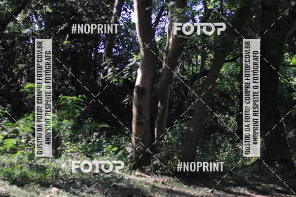 Buy your photos of the eventTreino Rosa on Fotop