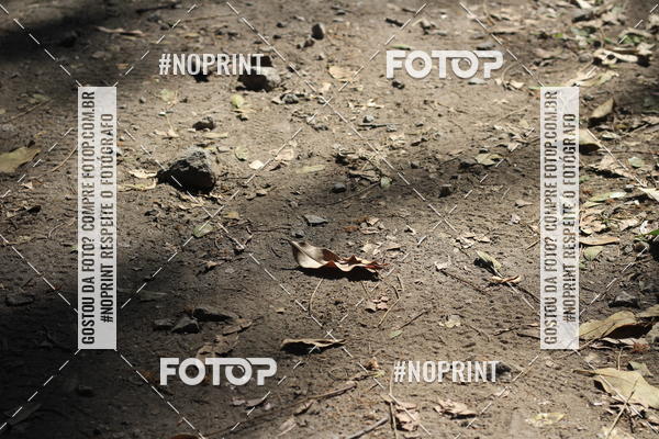 Buy your photos of the eventTreino Rosa on Fotop