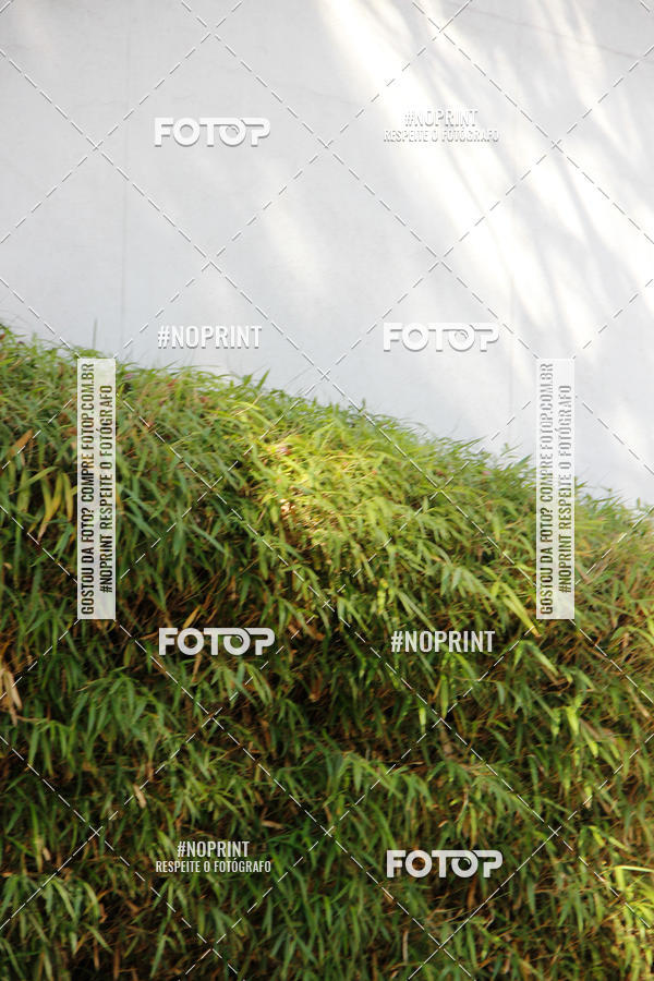 Buy your photos of the eventCemig Run 2019 on Fotop
