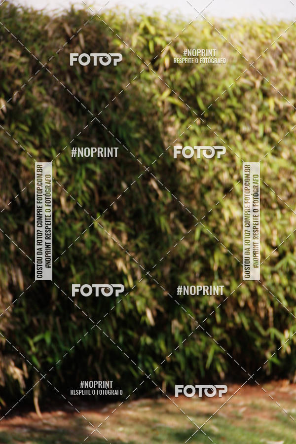 Buy your photos of the eventCemig Run 2019 on Fotop