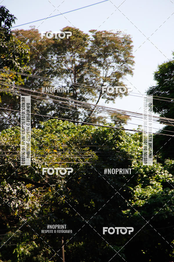 Buy your photos of the eventCemig Run 2019 on Fotop