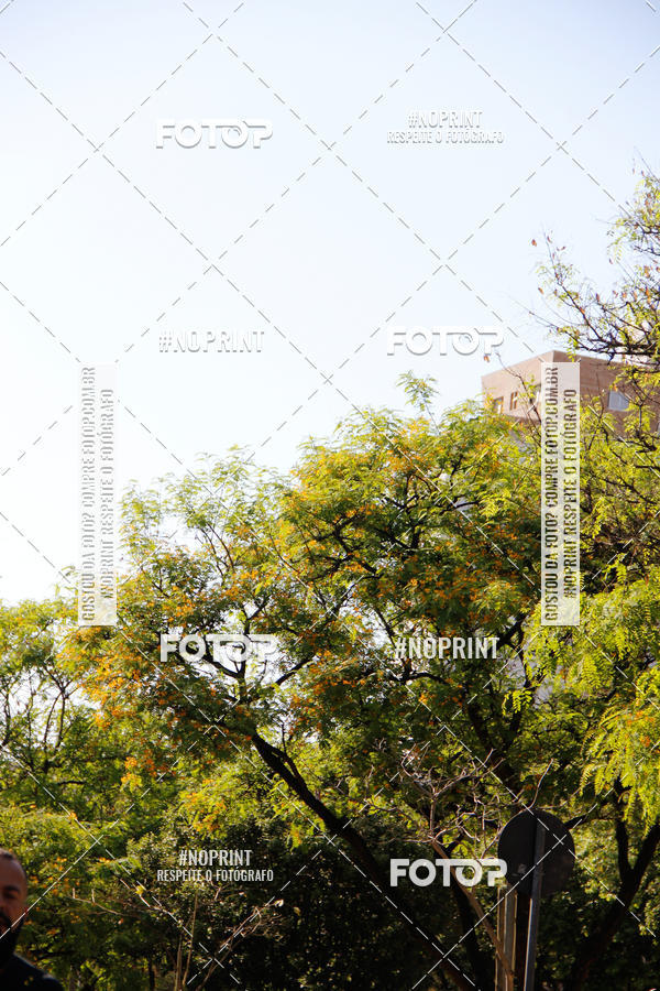 Buy your photos of the eventCemig Run 2019 on Fotop