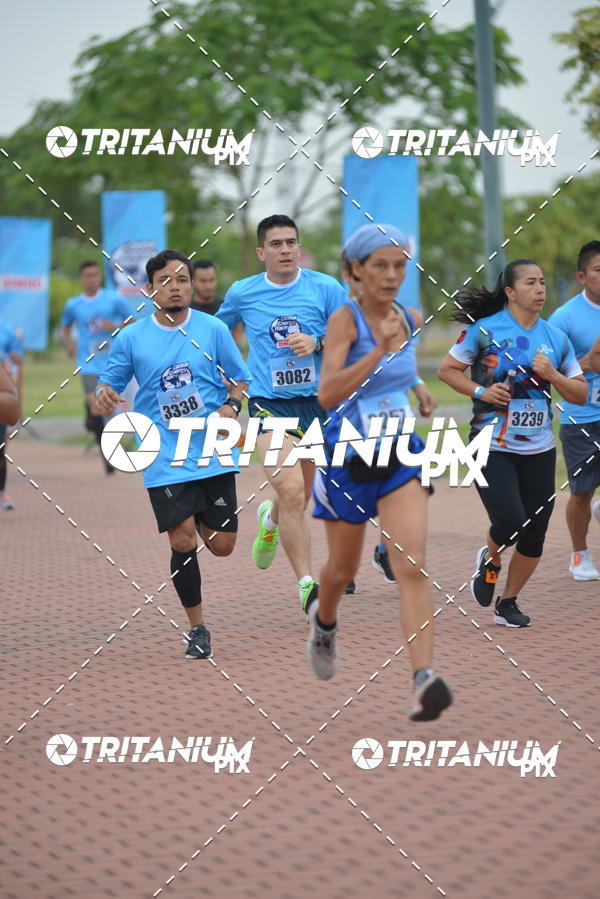 Compre suas fotos do eventoBimbo  Global Energy Race 2019 no Fotop