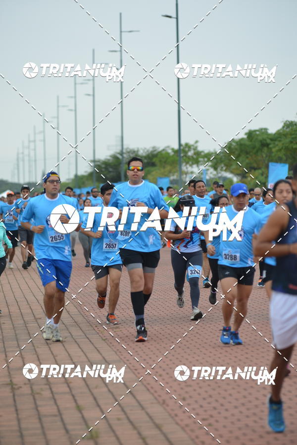 Buy your photos of the eventBimbo  Global Energy Race 2019 on Fotop