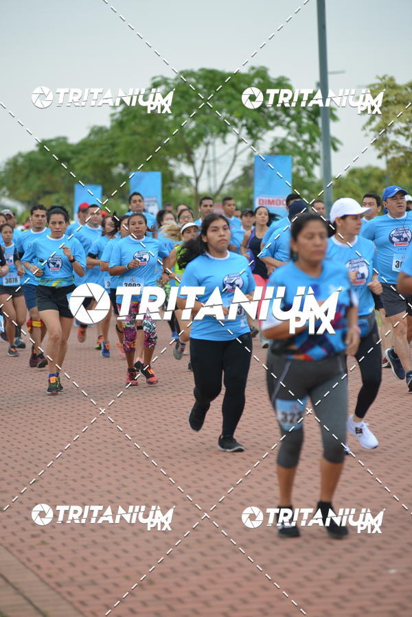 Buy your photos of the eventBimbo  Global Energy Race 2019 on Fotop