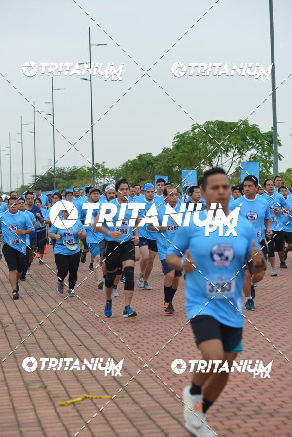 Buy your photos of the eventBimbo  Global Energy Race 2019 on Fotop