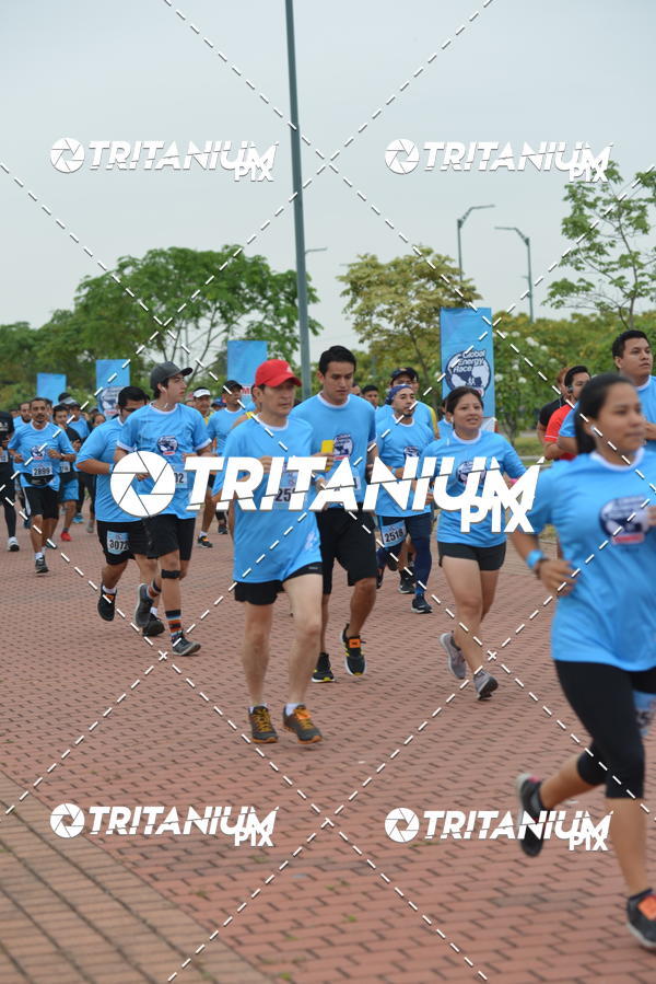 Buy your photos of the eventBimbo  Global Energy Race 2019 on Fotop