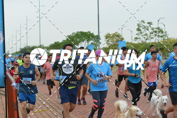 Buy your photos of the eventBimbo  Global Energy Race 2019 on Fotop