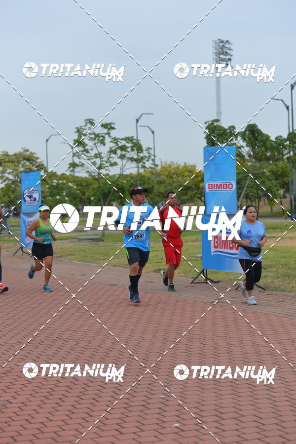 Buy your photos of the eventBimbo  Global Energy Race 2019 on Fotop