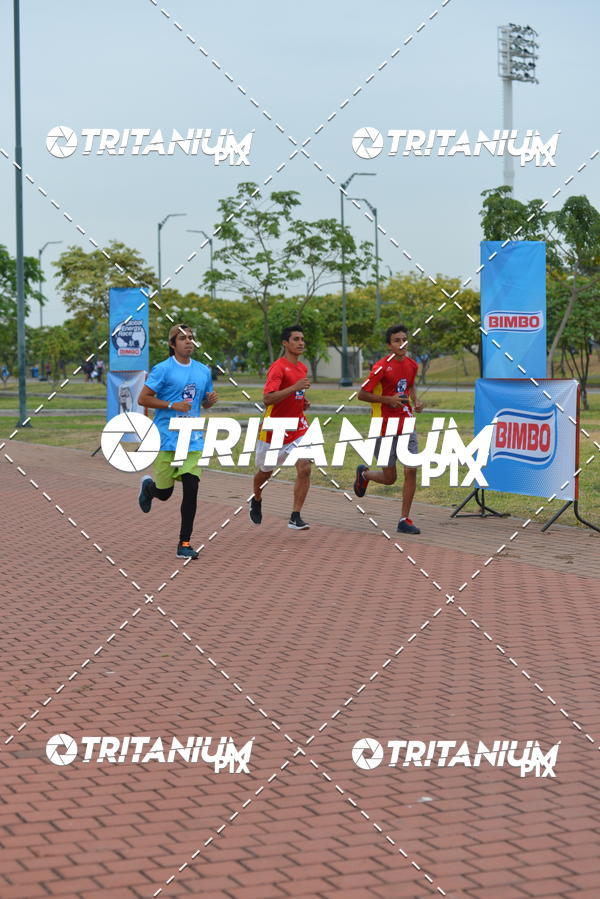 Buy your photos of the eventBimbo  Global Energy Race 2019 on Fotop