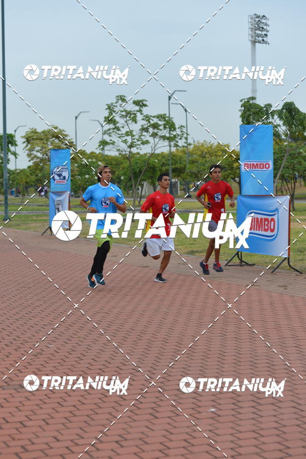 Buy your photos of the eventBimbo  Global Energy Race 2019 on Fotop