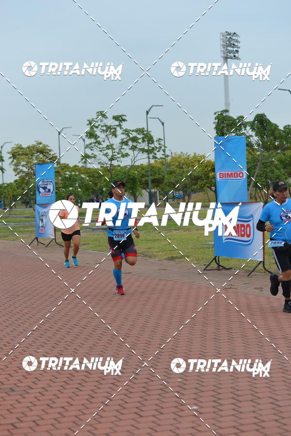 Buy your photos of the eventBimbo  Global Energy Race 2019 on Fotop