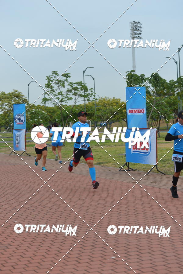 Buy your photos of the eventBimbo  Global Energy Race 2019 on Fotop