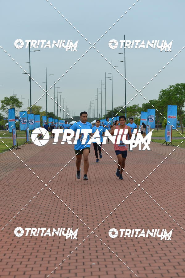 Buy your photos of the eventBimbo  Global Energy Race 2019 on Fotop