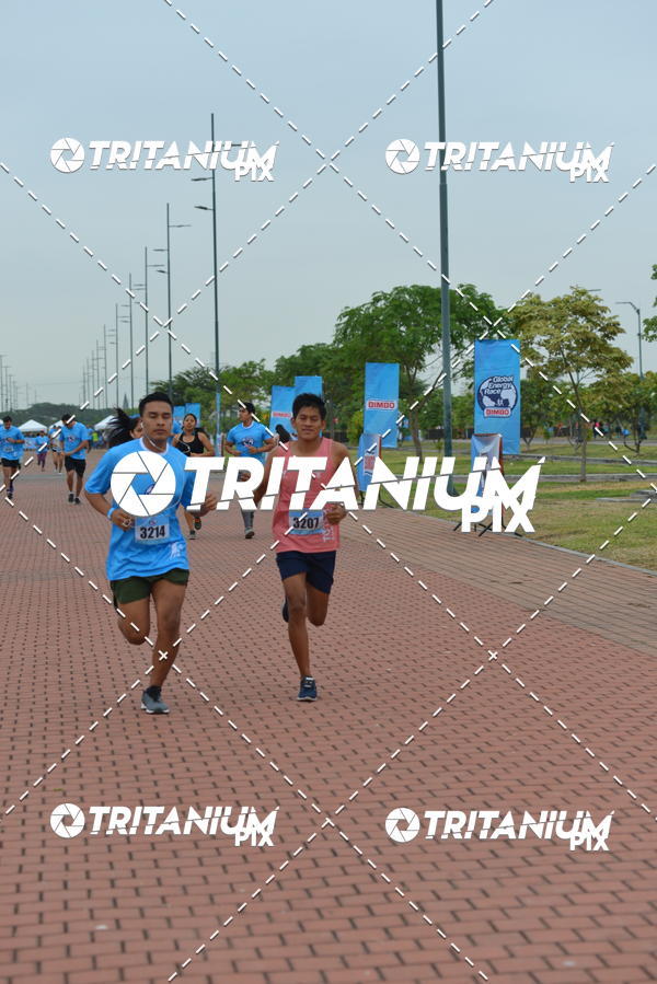 Buy your photos of the eventBimbo  Global Energy Race 2019 on Fotop