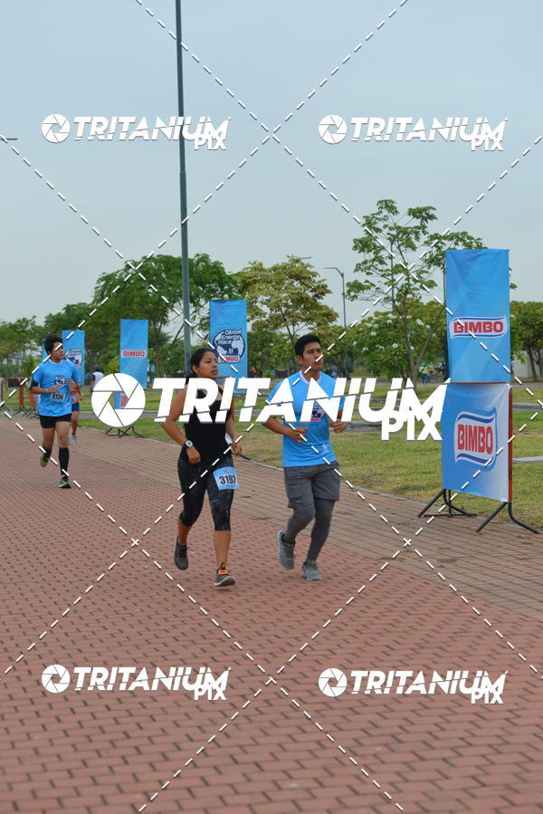 Buy your photos of the eventBimbo  Global Energy Race 2019 on Fotop