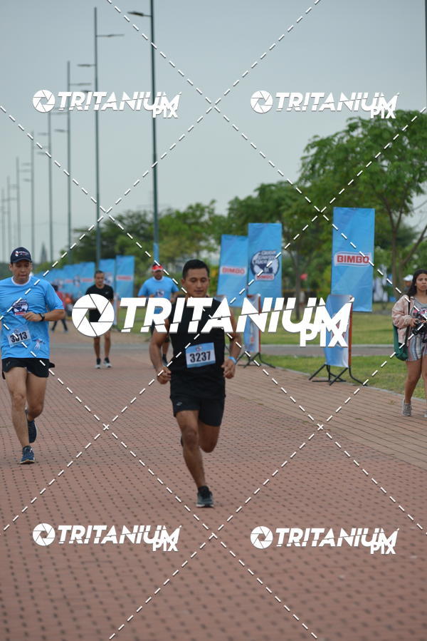 Buy your photos of the eventBimbo  Global Energy Race 2019 on Fotop