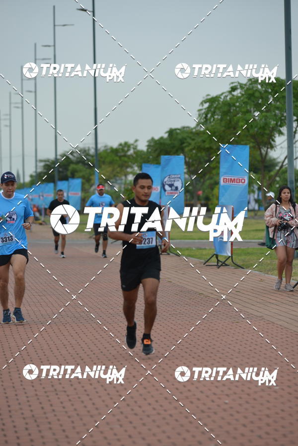 Buy your photos of the eventBimbo  Global Energy Race 2019 on Fotop