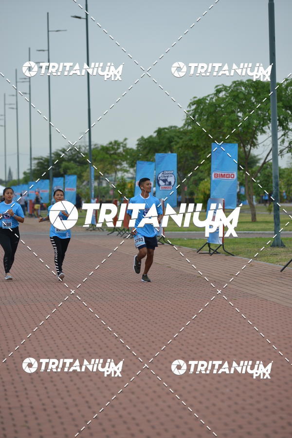 Buy your photos of the eventBimbo  Global Energy Race 2019 on Fotop