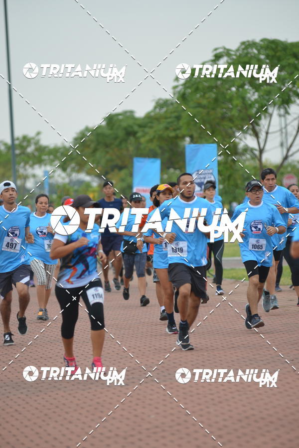 Buy your photos of the eventBimbo  Global Energy Race 2019 on Fotop