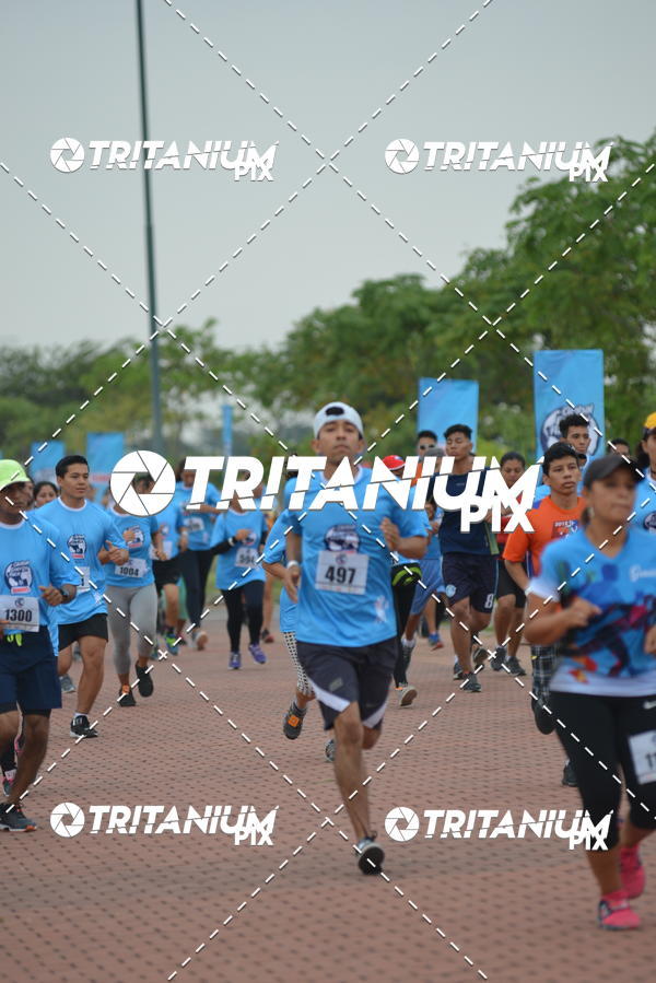 Buy your photos of the eventBimbo  Global Energy Race 2019 on Fotop