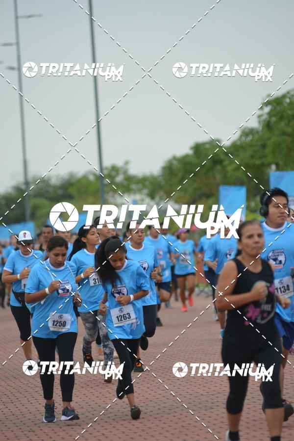 Buy your photos of the eventBimbo  Global Energy Race 2019 on Fotop