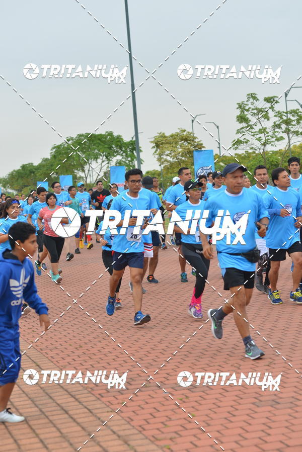 Buy your photos of the eventBimbo  Global Energy Race 2019 on Fotop