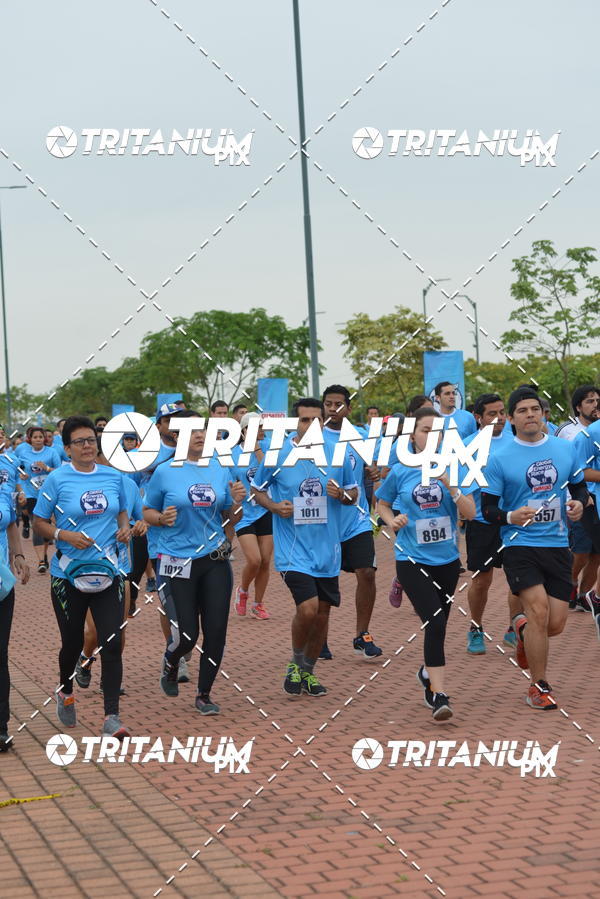 Buy your photos of the eventBimbo  Global Energy Race 2019 on Fotop