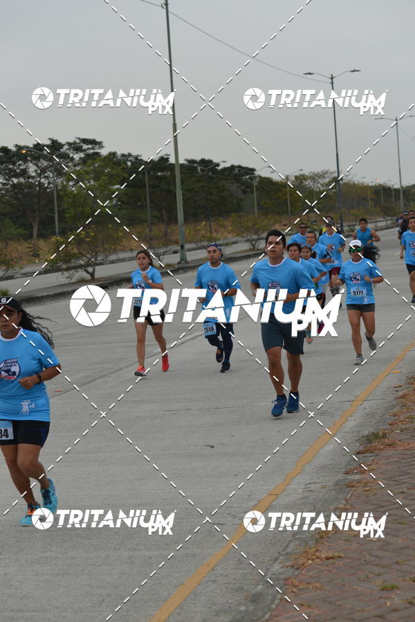 Buy your photos of the eventBimbo  Global Energy Race 2019 on Fotop