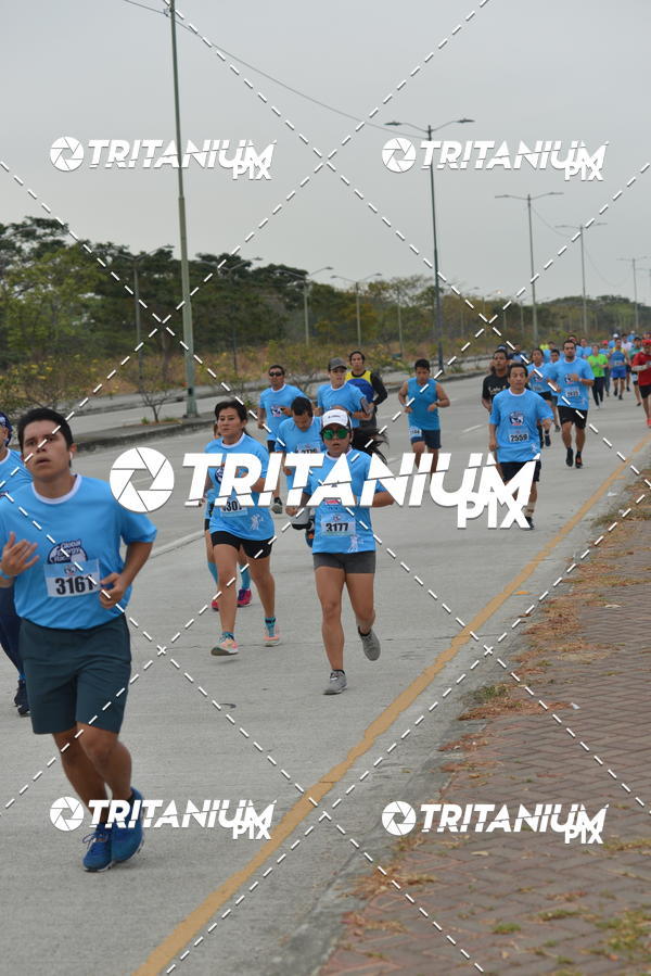 Buy your photos of the eventBimbo  Global Energy Race 2019 on Fotop