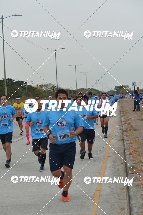 Buy your photos of the eventBimbo  Global Energy Race 2019 on Fotop