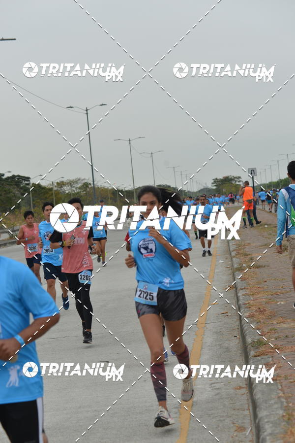 Buy your photos of the eventBimbo  Global Energy Race 2019 on Fotop