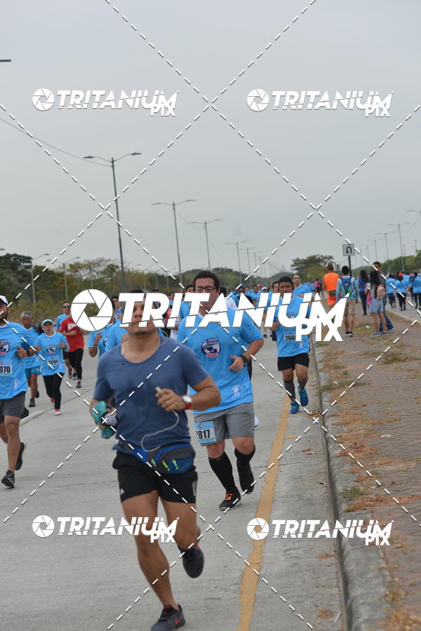 Buy your photos of the eventBimbo  Global Energy Race 2019 on Fotop