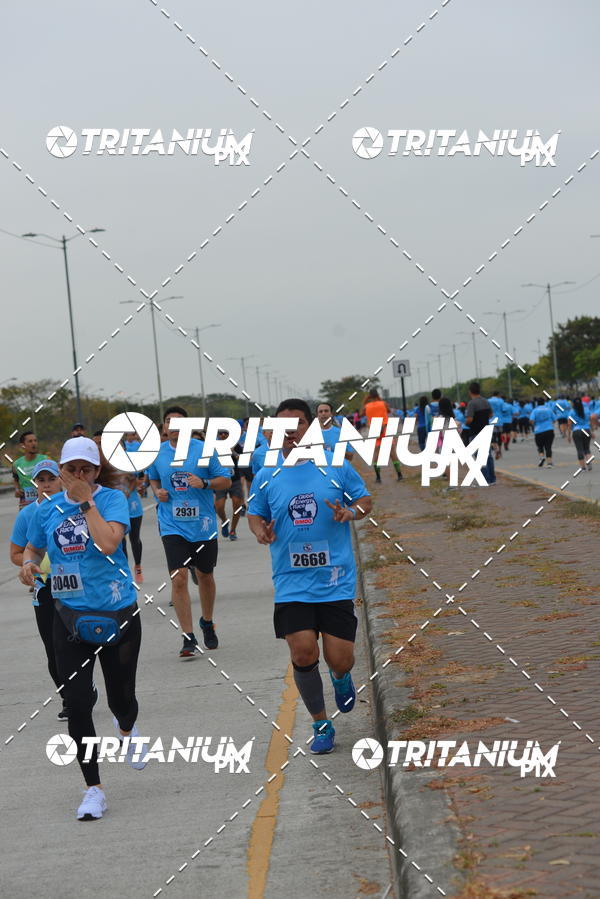 Buy your photos of the eventBimbo  Global Energy Race 2019 on Fotop