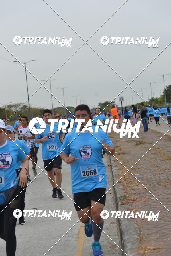 Buy your photos of the eventBimbo  Global Energy Race 2019 on Fotop