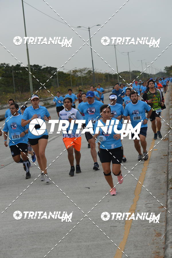 Buy your photos of the eventBimbo  Global Energy Race 2019 on Fotop