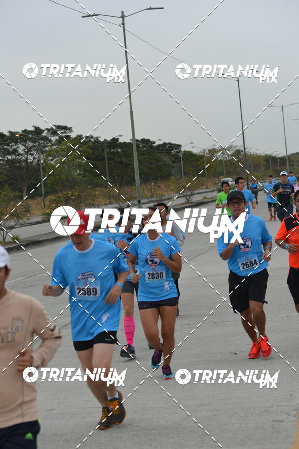Buy your photos of the eventBimbo  Global Energy Race 2019 on Fotop