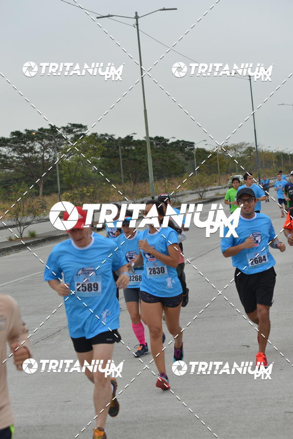 Buy your photos of the eventBimbo  Global Energy Race 2019 on Fotop