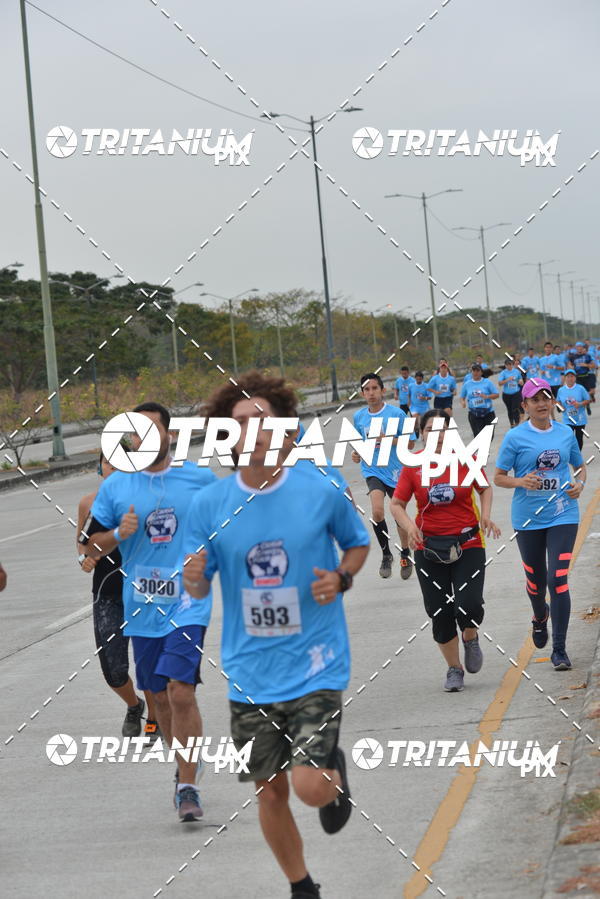 Buy your photos of the eventBimbo  Global Energy Race 2019 on Fotop