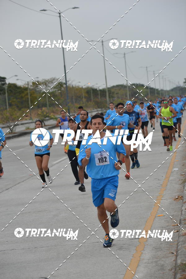 Buy your photos of the eventBimbo  Global Energy Race 2019 on Fotop