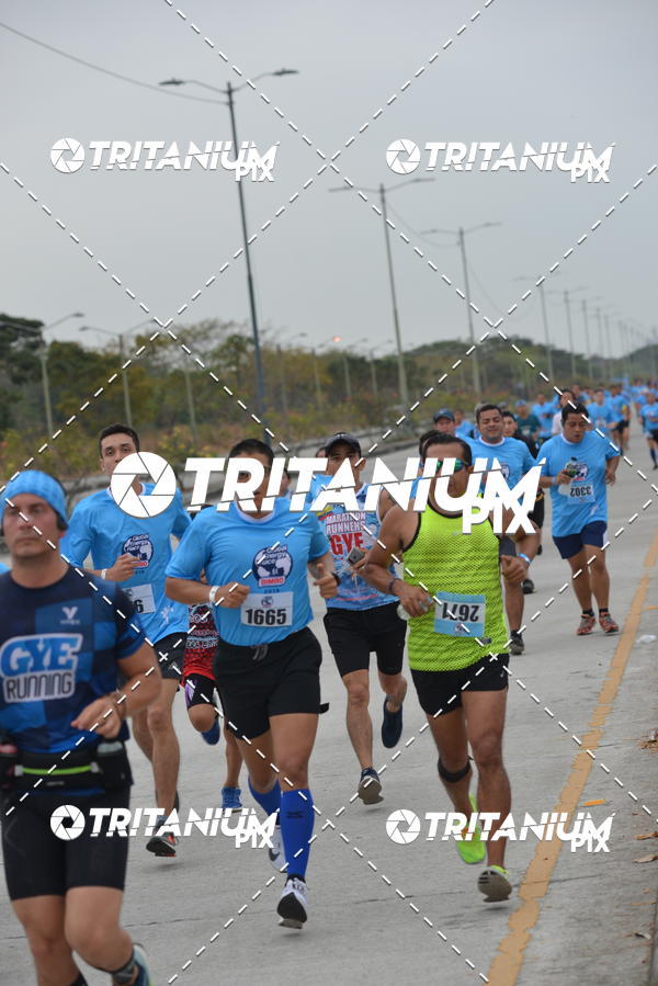 Buy your photos of the eventBimbo  Global Energy Race 2019 on Fotop