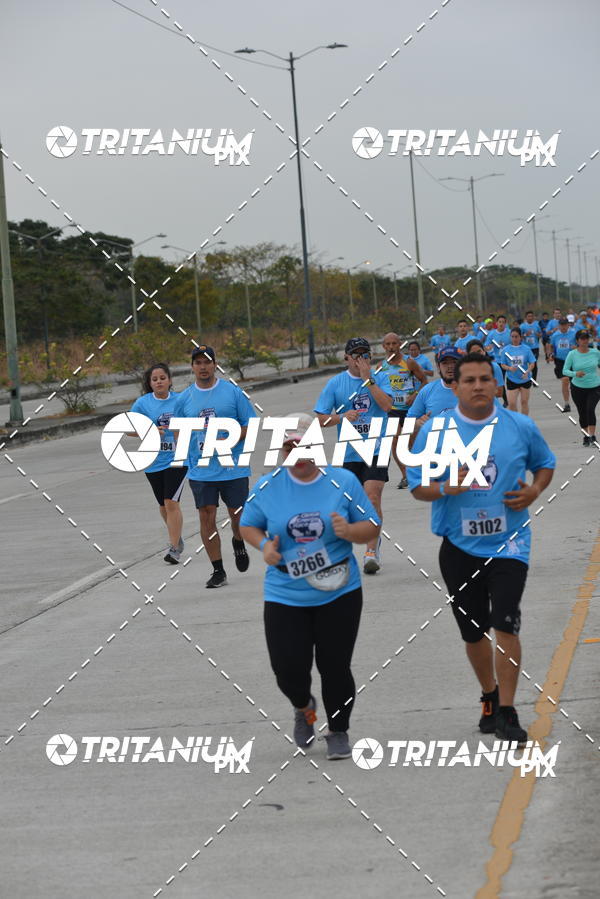 Buy your photos of the eventBimbo  Global Energy Race 2019 on Fotop