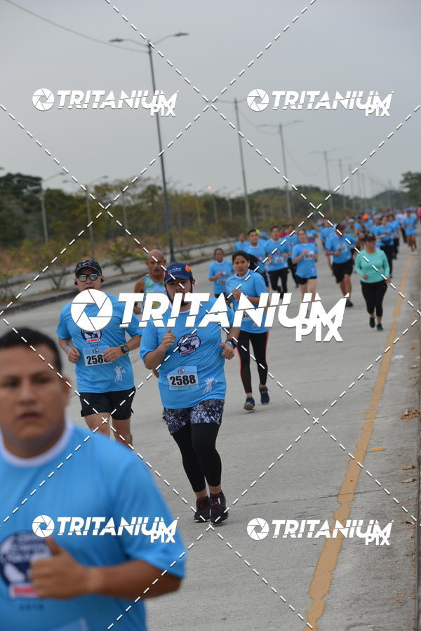 Buy your photos of the eventBimbo  Global Energy Race 2019 on Fotop