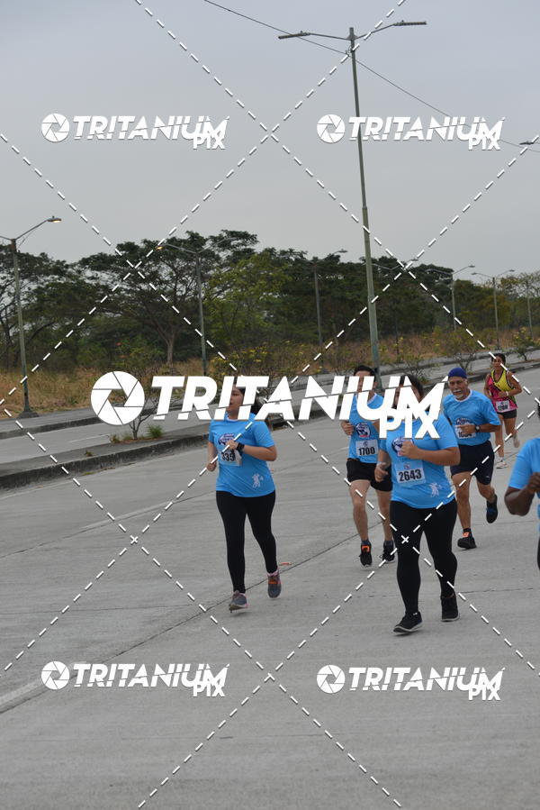 Buy your photos of the eventBimbo  Global Energy Race 2019 on Fotop