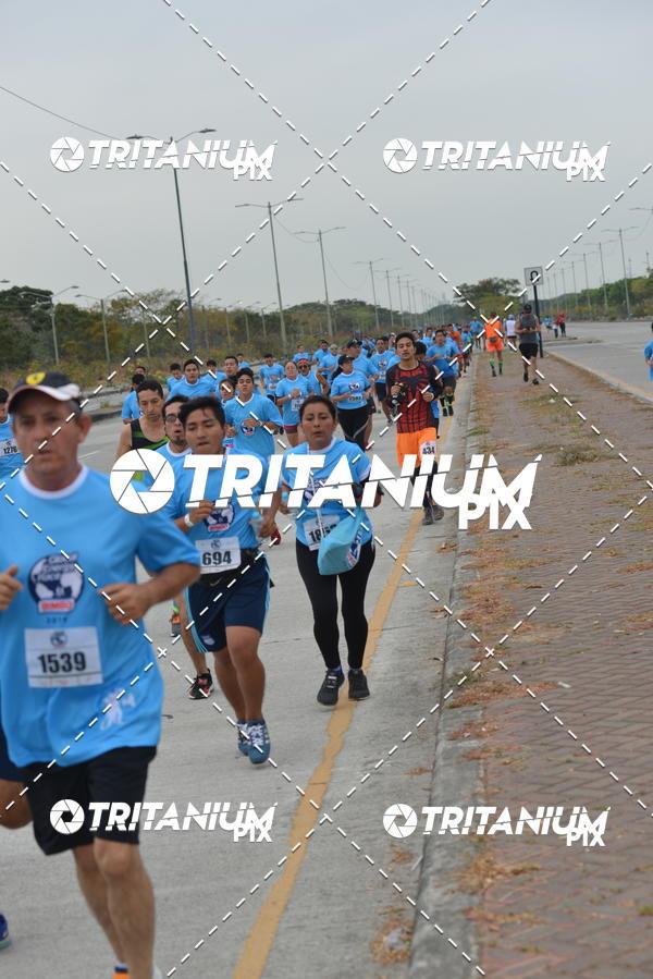 Buy your photos of the eventBimbo  Global Energy Race 2019 on Fotop