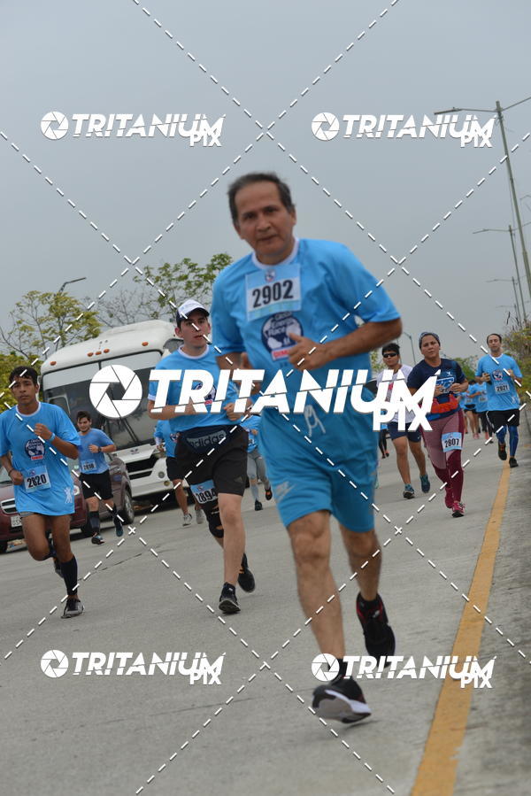 Buy your photos of the eventBimbo  Global Energy Race 2019 on Fotop