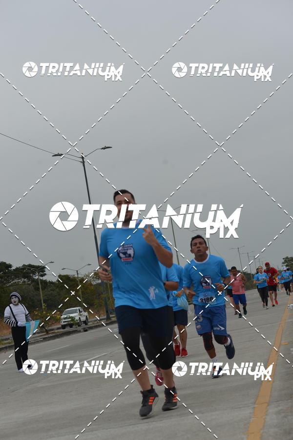 Buy your photos of the eventBimbo  Global Energy Race 2019 on Fotop